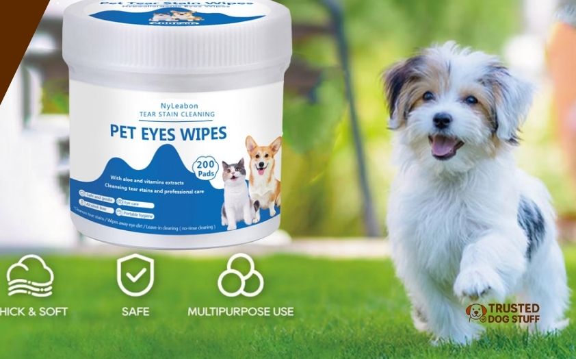 best dog eye wipes for tear stains