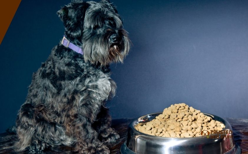 best dog foods for giant schnauzer