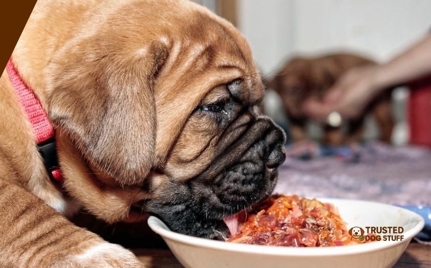best dog foods for mastiff puppies