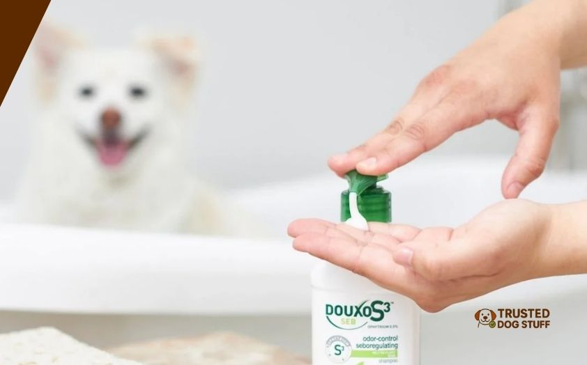best dog shampoos for cocker spaniels