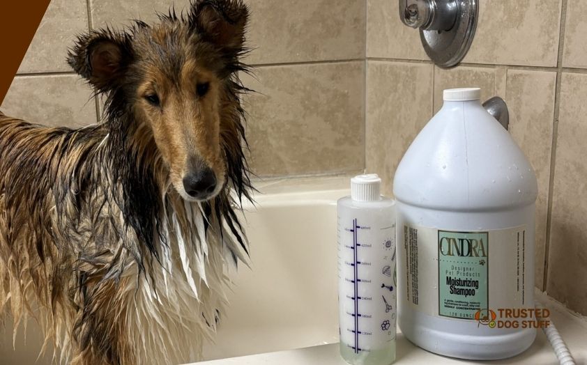 best dog shampoos for dry flaky skin