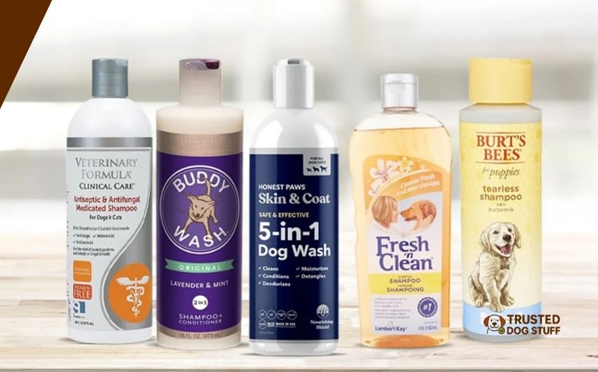 best dog shampoos for mange