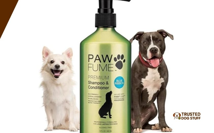 best dog shampoos for odor control