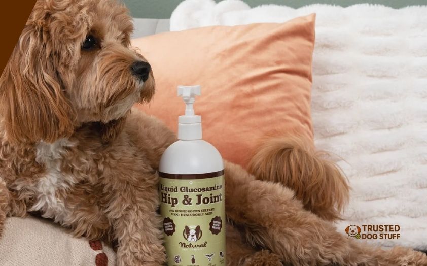 best dog shampoos for pitbulls with sensitive skin
