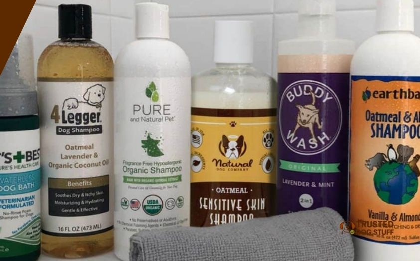 best dog shampoos for siberian husky