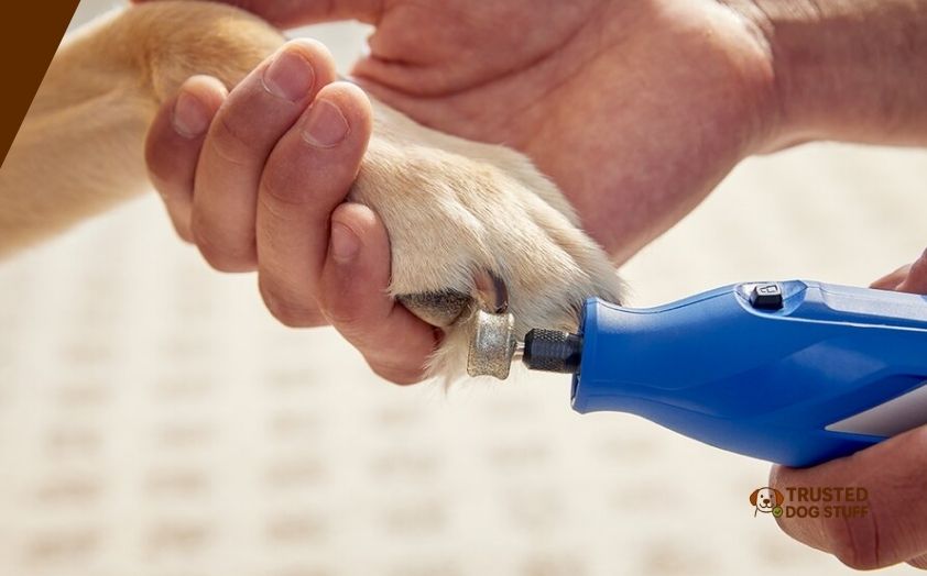 best dremel attachments for dog nails