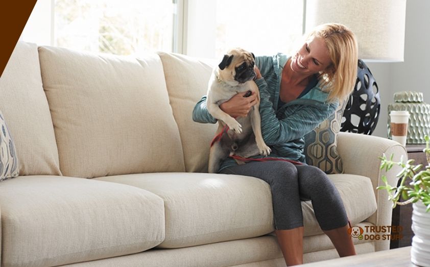 best fabrics for dog hair