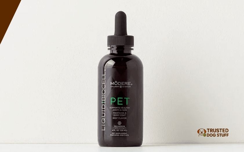 best liquid collagens for dogs