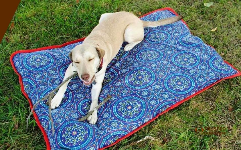 best outdoor mats for dogs