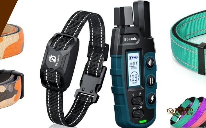 best rated e-collars for dogs
