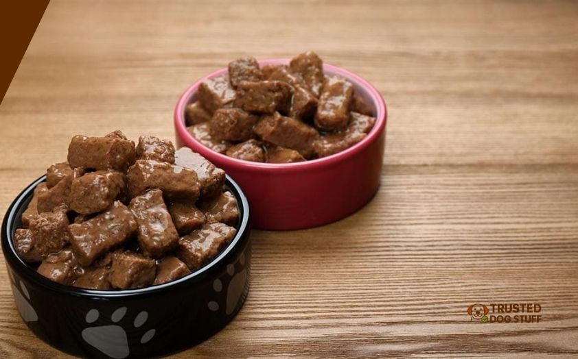 best wet dog foods for frenchies