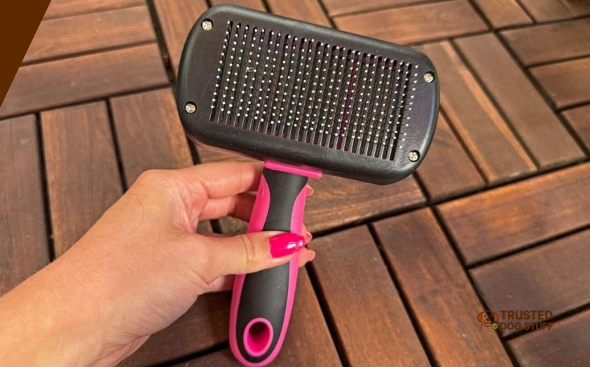 best dog brushes for belgian malinois