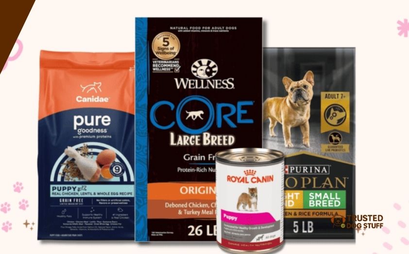 best dog foods for pomsky